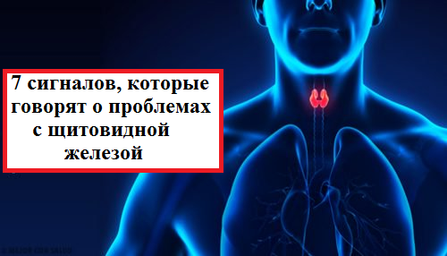 7 сигналів, які говорять про проблеми з щитовидною залозою